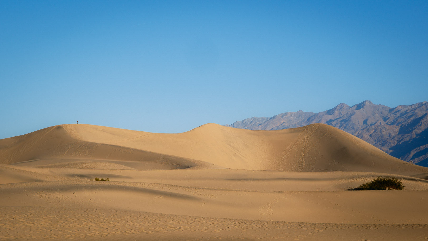 Death Valley photo titled Cover